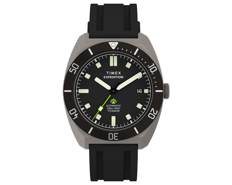 Timex Expedition Pioneer