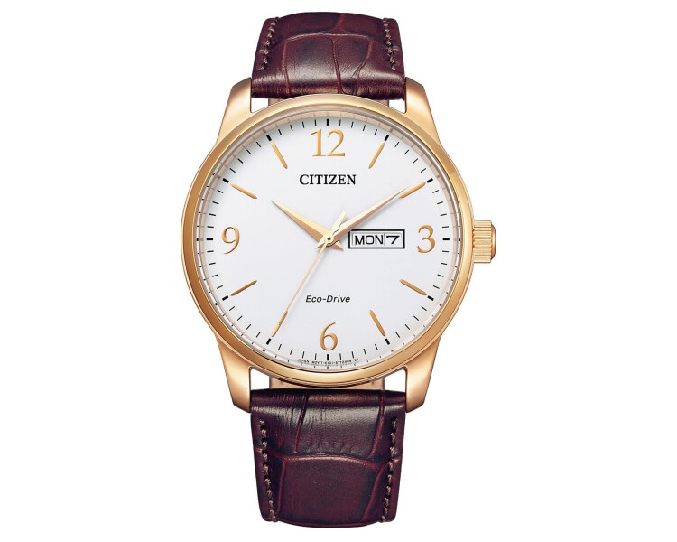 Citizen Leather