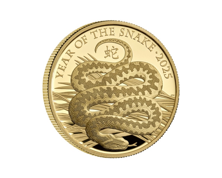 Lunar Year of the Snake- The Royal Mint 1oz Proof