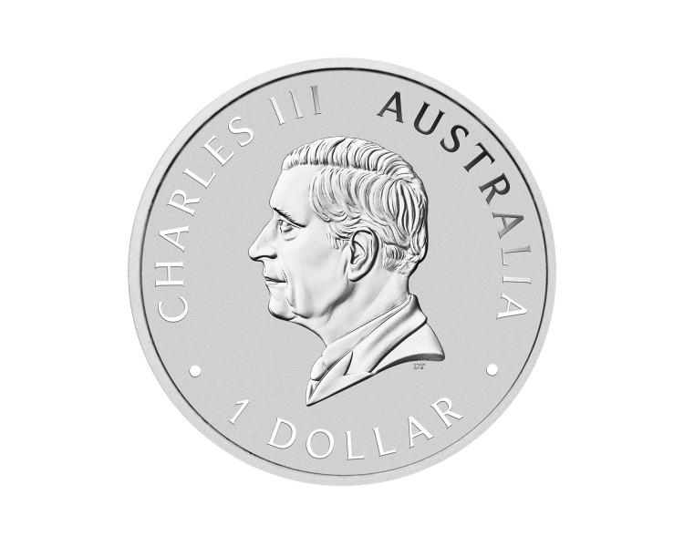 Australian Koala 1oz Brisbane Money Expo 2026 – Edycja kolorowa