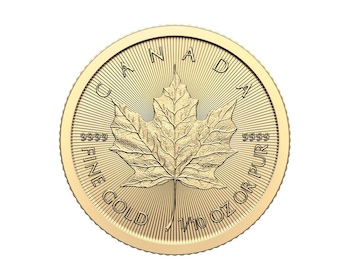 Kanadyjski Liść Klonowy 1/10 oz (24h) - 2022/2023r.