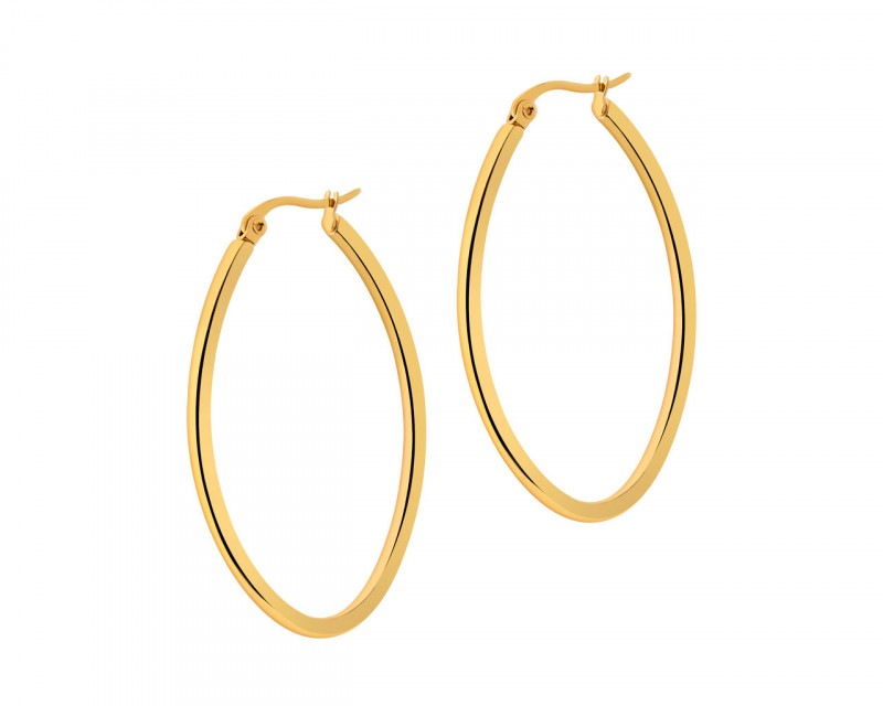 Stainless Steel Earrings 