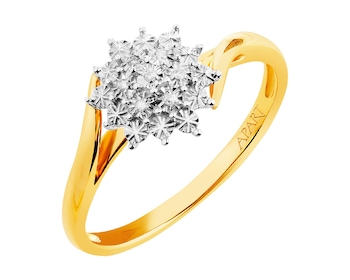 9ct Yellow Gold Ring with Diamonds 0,02 ct - fineness 9 K></noscript>
                    </a>
                </div>
                <div class=