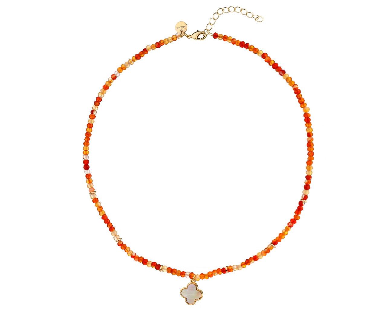 Gold Plated Brass Necklace with Agate & Mother of Pearl