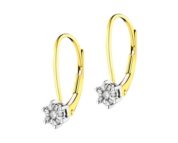 14 K Yellow Gold, White Gold Earrings with Diamonds 0,12 ct - fineness 14 K></noscript>
                    </a>
                </div>
                <div class=