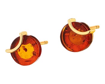 14 K Yellow Gold Earrings with Amber></noscript>
                    </a>
                </div>
                <div class=