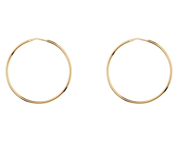 Gold-Plated Silver Earrings 