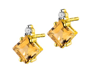 9 K Rhodium-Plated Yellow Gold Earrings with Diamonds 0,02 ct - fineness 9 K></noscript>
                    </a>
                </div>
                <div class=