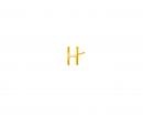 Złoty kolczyk - litera H