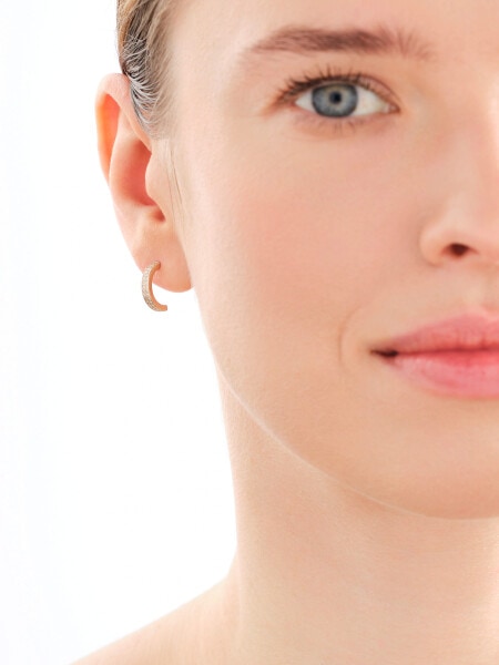 14 K Yellow Gold Earrings with Cubic Zirconia