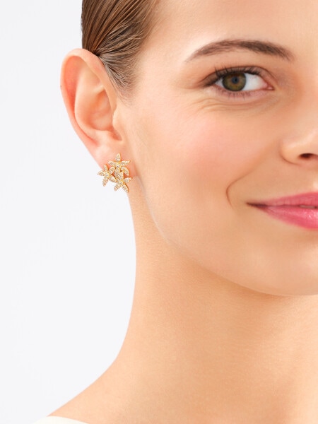 Gold-Plated Brass, Gold-Plated Silver Earrings with Cubic Zirconia