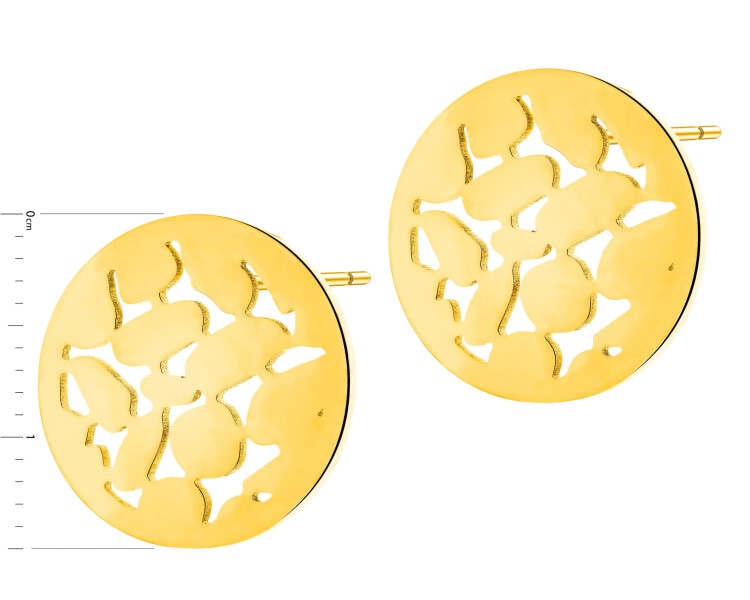 Náušnice z ušlechtilé oceli - kolečka