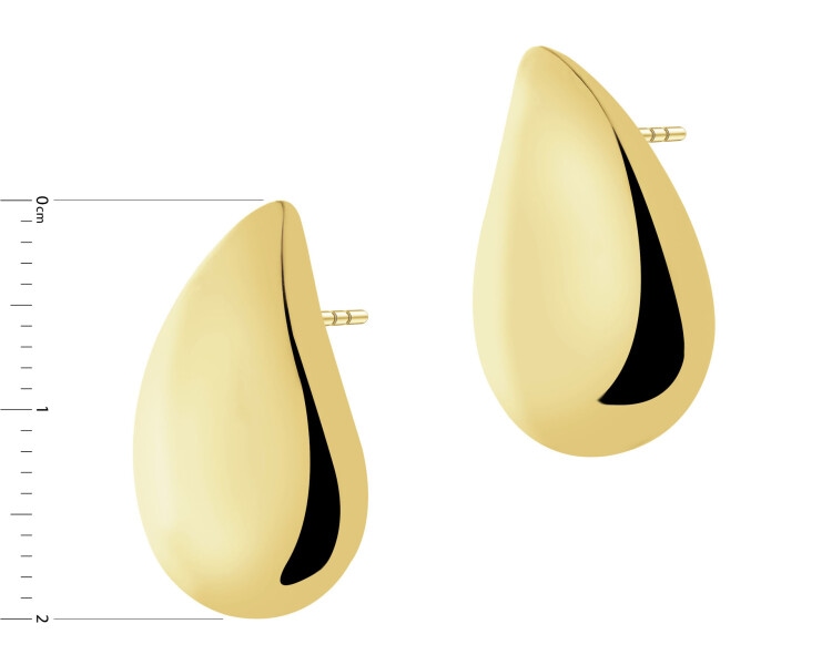 Gold-Plated Silver Earrings