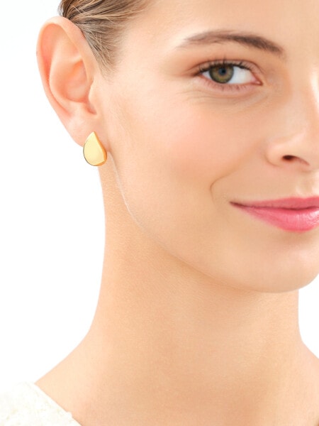 Gold-Plated Silver Earrings