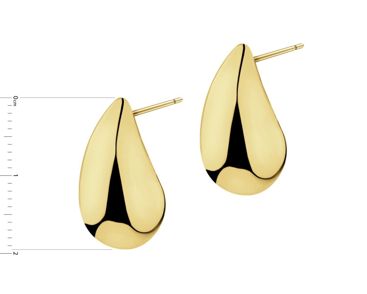 Gold-Plated Silver Earrings