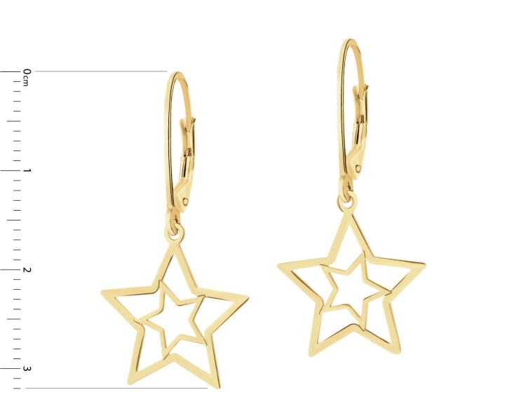 Gold-Plated Silver Earrings