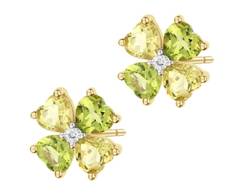 9 K Rhodium-Plated Yellow Gold Earrings  - fineness 9 K