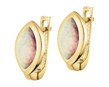 14 K Yellow Gold Earrings with Opalite