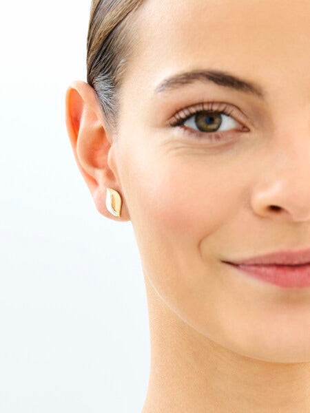 14 K Yellow Gold Earrings