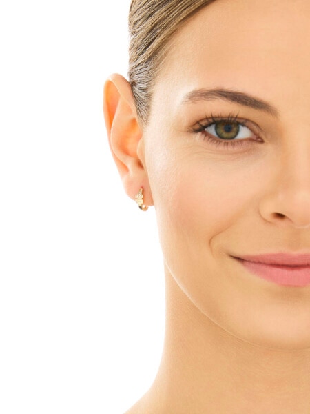 Zlaté náušnice se zirkony - kroužky