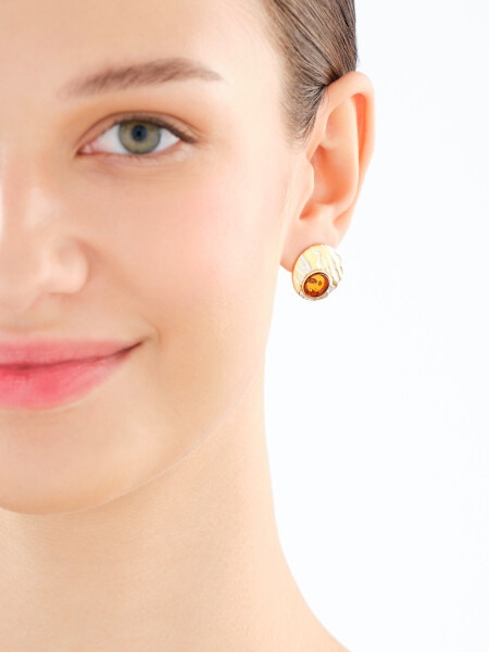 Kolczyki srebrne z bursztynem - koła