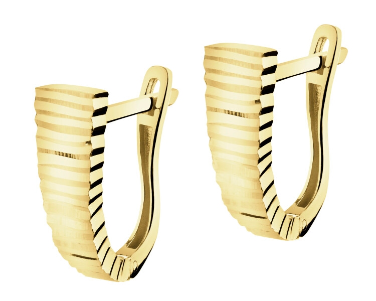 9 K Yellow Gold Earrings 