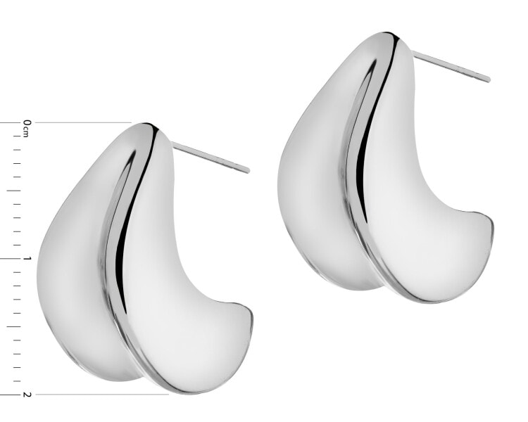 Stainless Steel Earrings