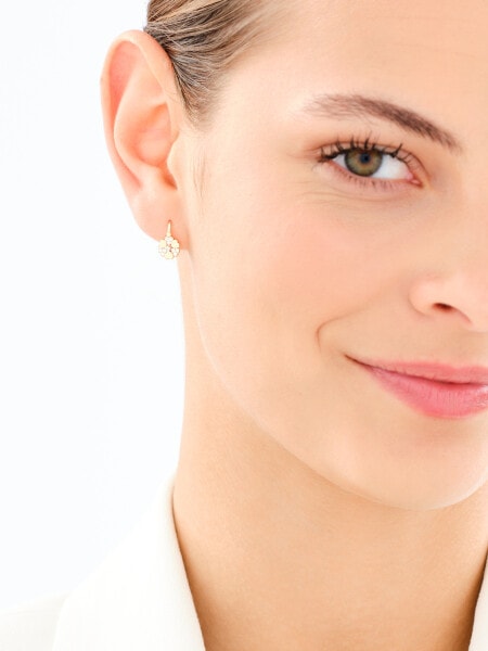 9 K Yellow Gold Earrings with Cubic Zirconia