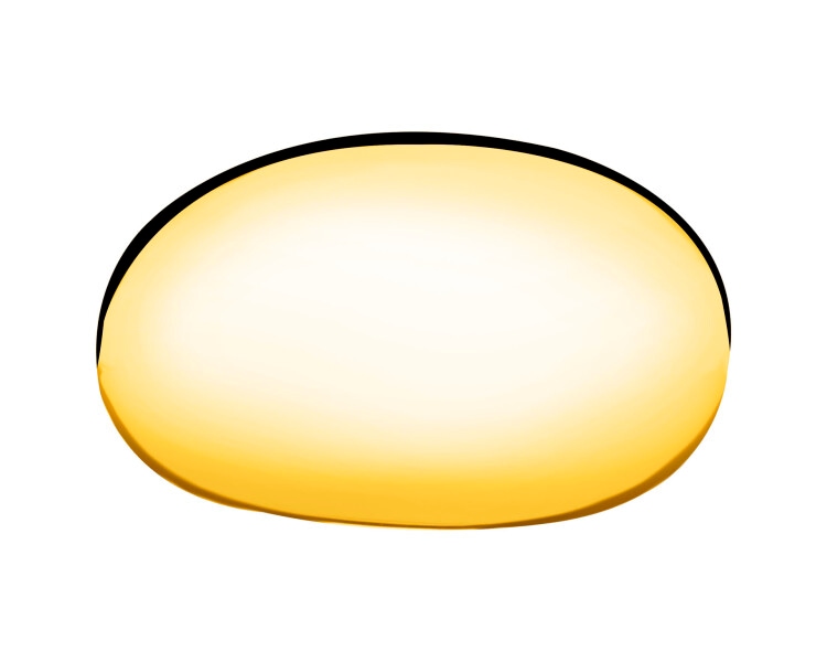 Stainless Steel Ring