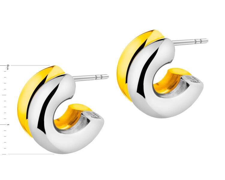 Stainless Steel Earrings