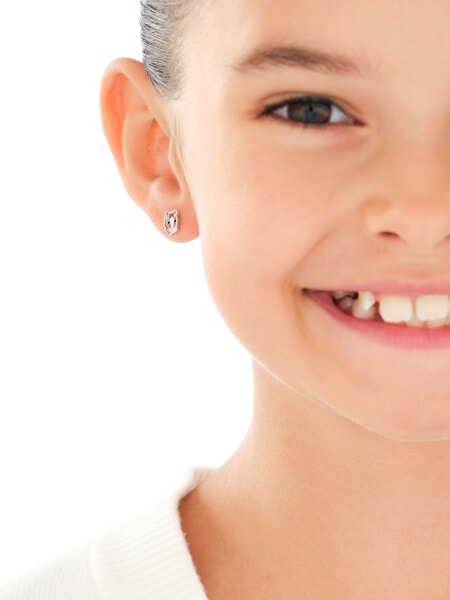 Stříbrné náušnice se smaltem - koně