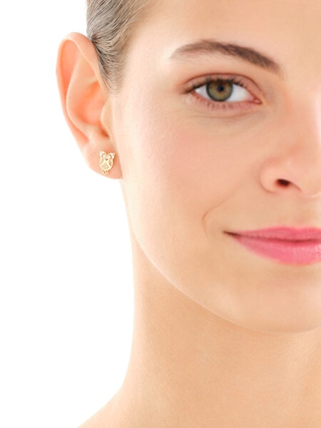 14 K Yellow Gold Earrings with Cubic Zirconia