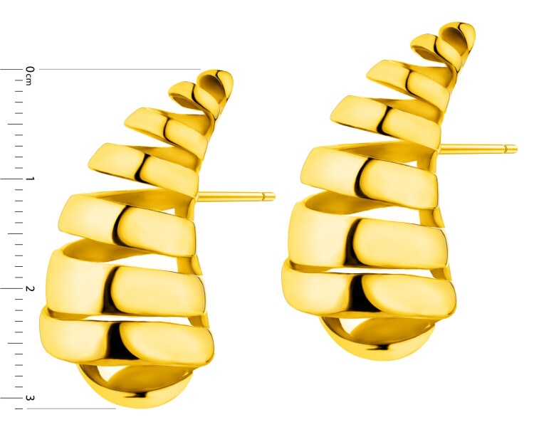 Stainless Steel Earrings