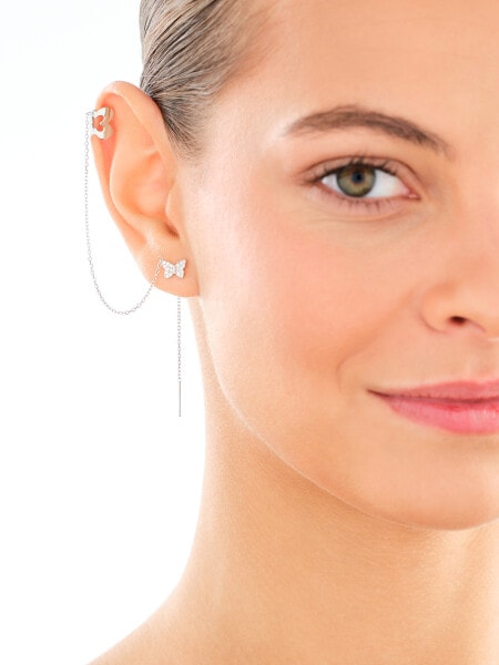 Nausznica srebrna - motyle