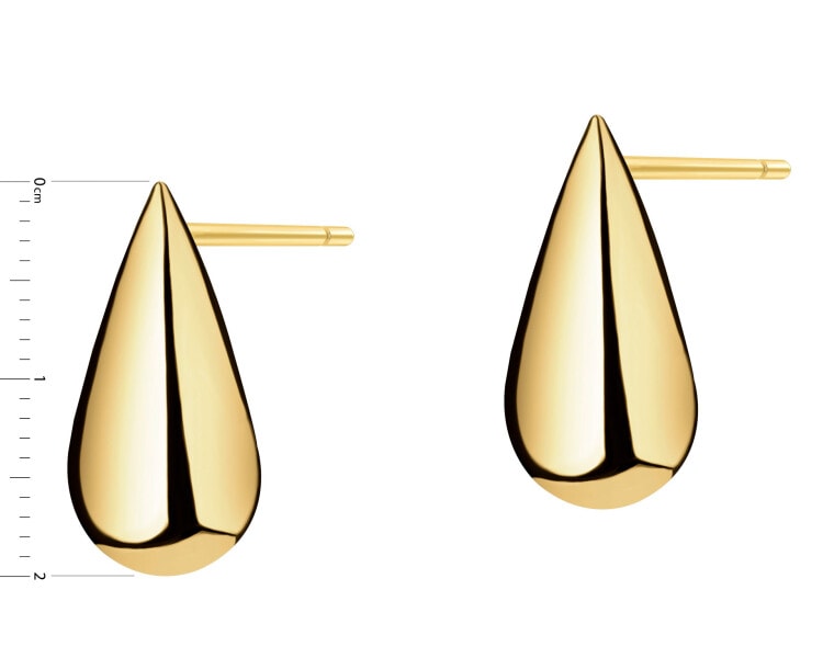 Gold-Plated Silver Earrings
