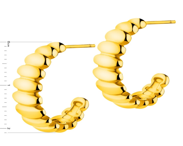 Stainless Steel Earrings 