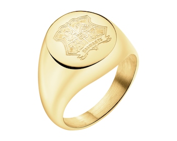 Sygnet ze stali szlachetnej - Harry Potter, Warner Bros. Discovery