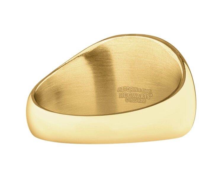 Sygnet ze stali szlachetnej - Harry Potter, Warner Bros. Discovery