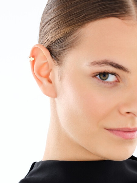 Pozlacená stříbrná záušnice