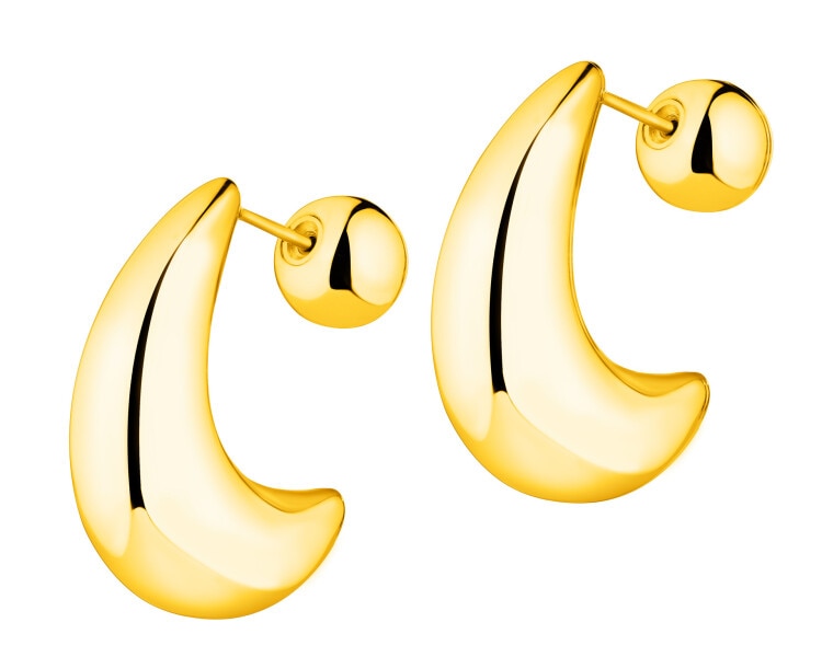 Stainless Steel Earrings 