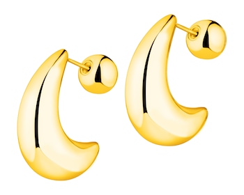 Stainless Steel Earrings 