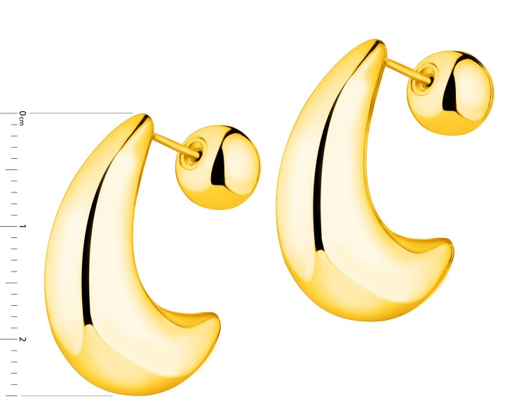 Stainless Steel Earrings