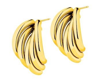 Stainless Steel Earrings 