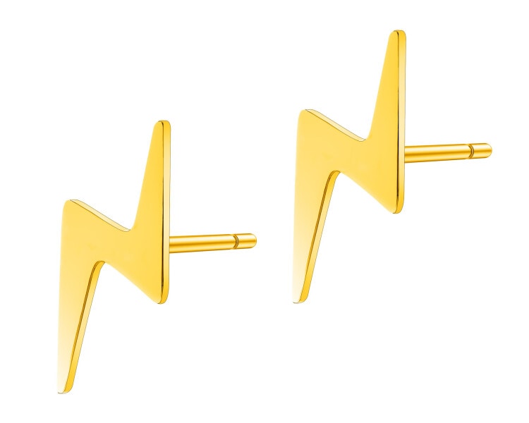 Stainless Steel Earrings 