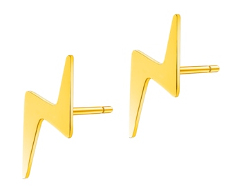 Stainless Steel Earrings 