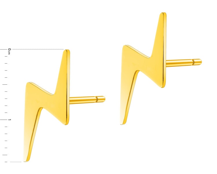 Stainless Steel Earrings