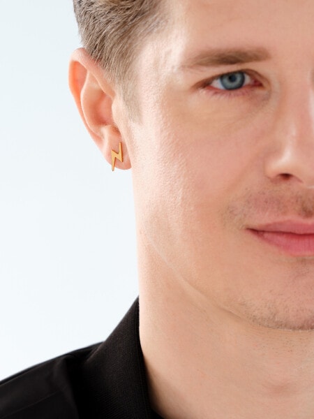 Stainless Steel Earrings