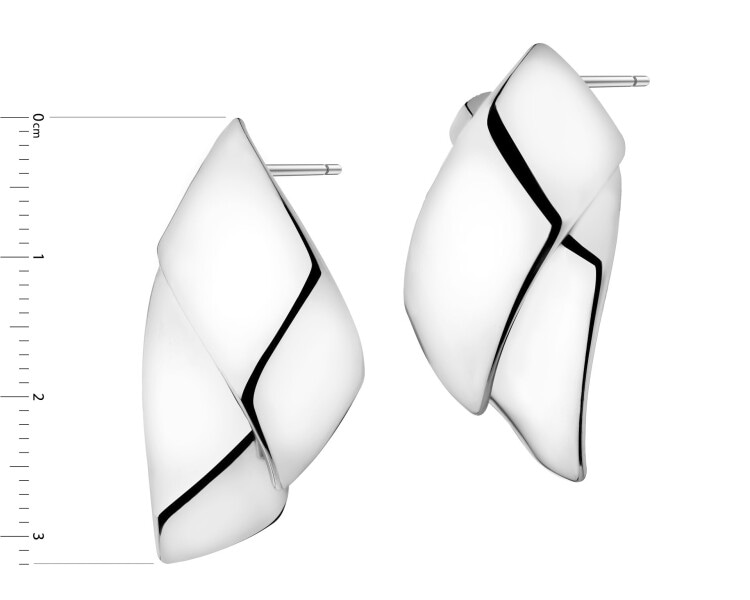 Stainless Steel Earrings 