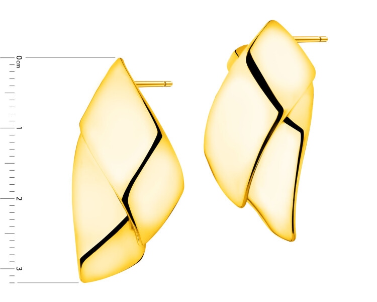 Stainless Steel Earrings 