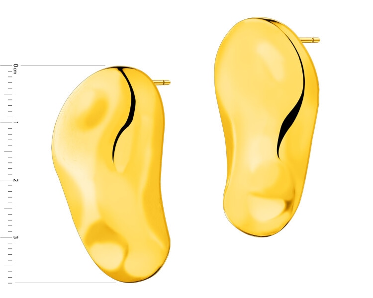 Stainless Steel Earrings 